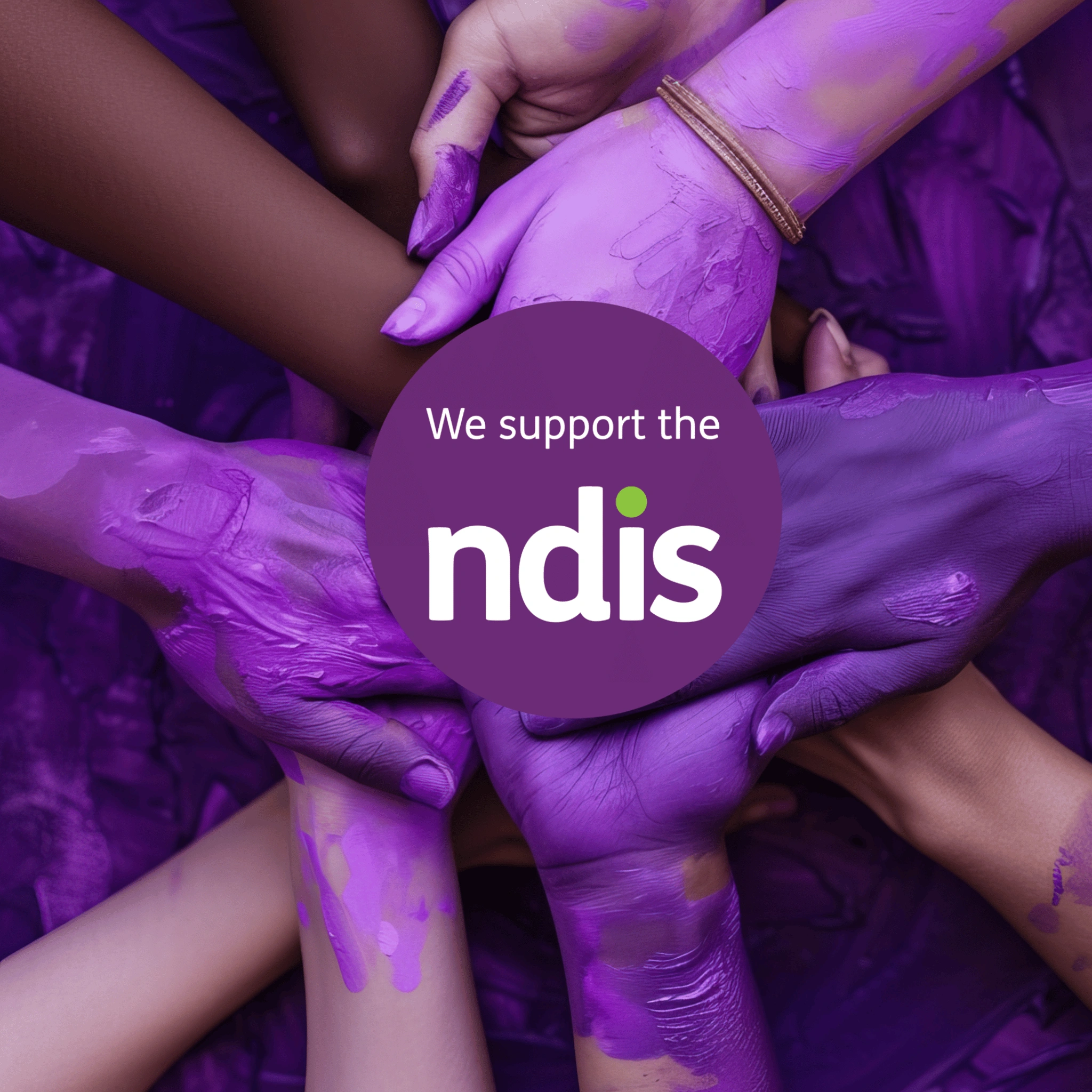 NDIS Website Performance